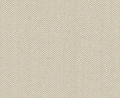 Maverick 08 Muslin swatch
