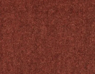 Monaco 05 Tigerlilly swatch