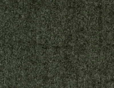 Monaco 12 Olive swatch