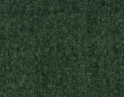 Monaco 13 Fern swatch