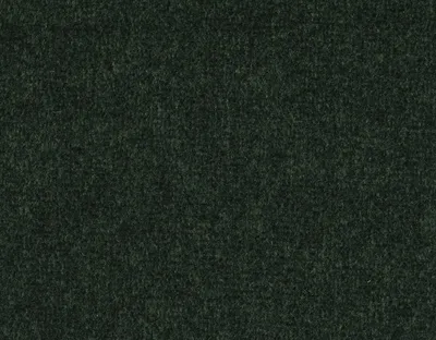 Monaco 14 Forest swatch