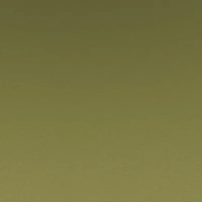 Nabis 12 Jungle swatch