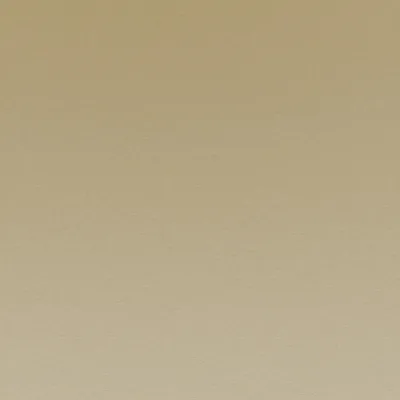 Nabis 16 Dune swatch