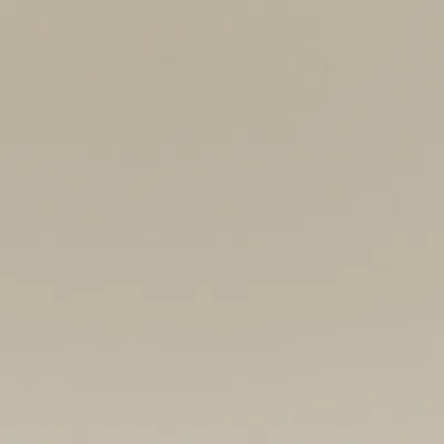 Nabis 31 Champagne swatch