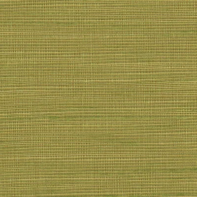 Orion 02 Lime Zest swatch