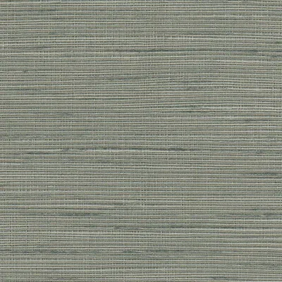 Orion 07 Flint swatch