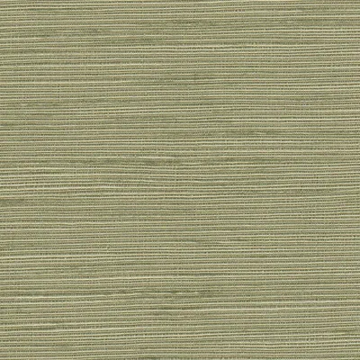 Orion 10 Mushroom swatch