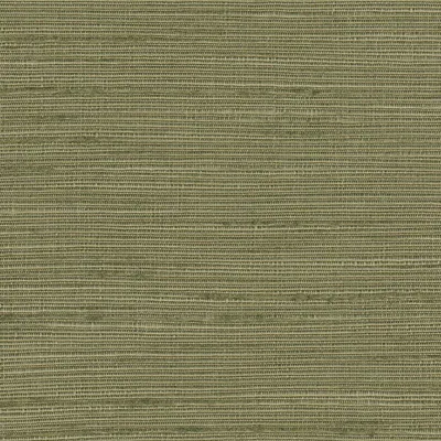 Orion 11 Latte swatch