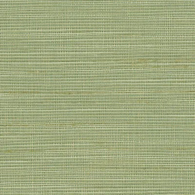 Orion 13 Seafoam swatch