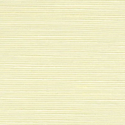 Orion 14 Ivory swatch