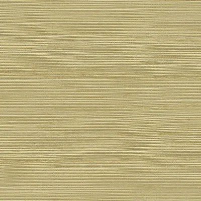 Orion 17 Seashell swatch