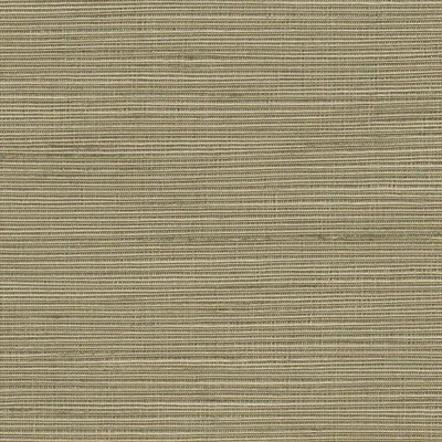 Orion 19 Taupe swatch