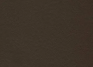 Orzan 10 swatch