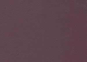 Orzan 42 swatch