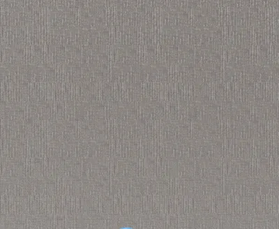 Panaro 10 Nickel swatch