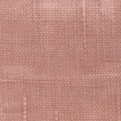 Petunia 03 Rose swatch