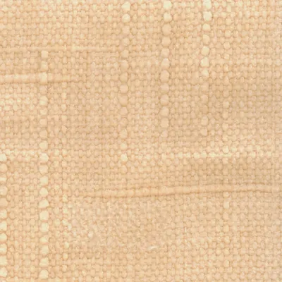 Petunia 16 Peach Fuzz swatch