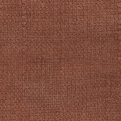 Petunia 18 Coral Rock swatch