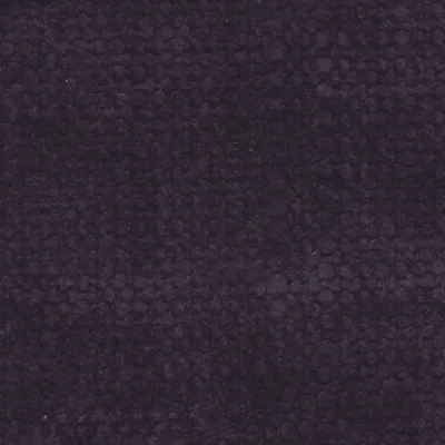 Petunia 21 Iris swatch