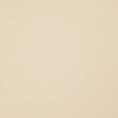 Piedmont 24 Champagne swatch