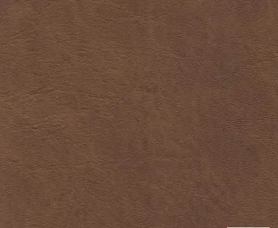 Presley 02 Tan swatch