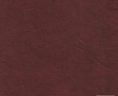 Presley 07 Burgundy swatch