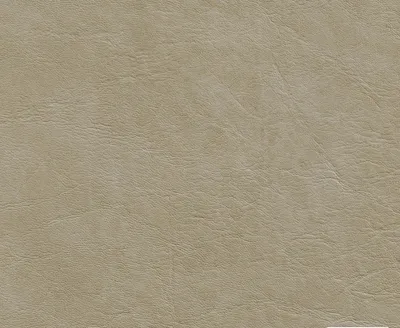 Presley 08 Stone swatch
