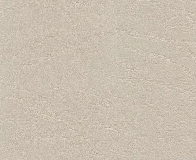 Presley 10 Cream swatch