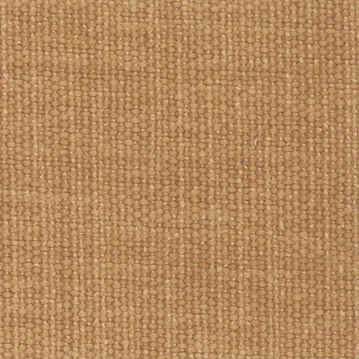 Primrose 21 Sunset swatch