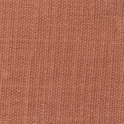 Primrose 23 Spice swatch
