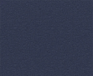 Quentin 02 Navy swatch