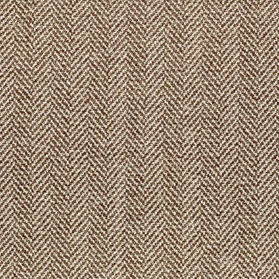 Quin 08 Cocoa swatch