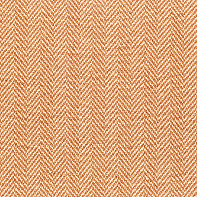 Quin 10 Tiger swatch
