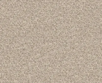 Rannoch 03 Mushroom swatch