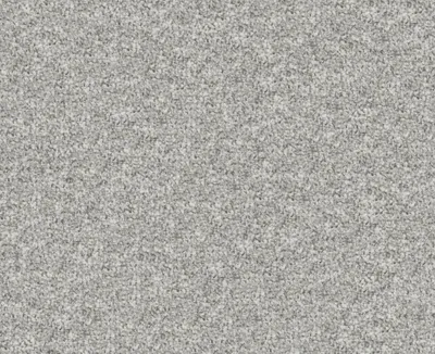 Rannoch 09 Wolf swatch