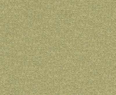 Rannoch 21 Meadow swatch