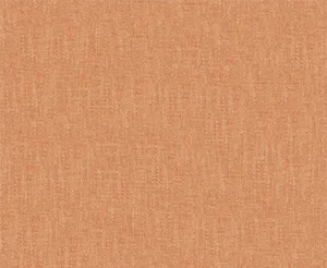Renovare 40 Coral swatch