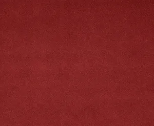 Riga 27 Strawberry swatch