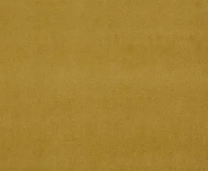 Riga 29 Medal swatch