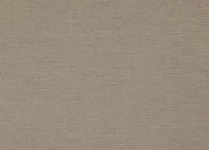Riviera 02 Champagne swatch