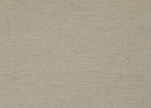 Riviera 03 Pumice swatch