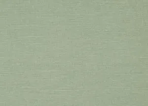 Riviera 11 Mint swatch