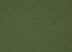 Riviera 12 Chive swatch