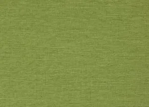 Riviera 13 Palm swatch