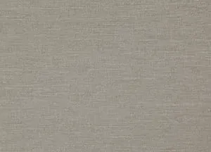Riviera 29 Mist swatch
