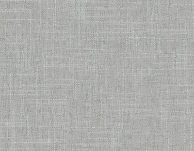 Rochelle 07 Rhino swatch