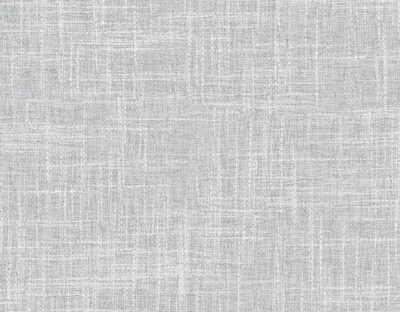 Rochelle 08 Feather Grey swatch