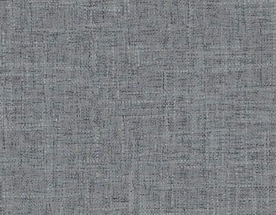 Rochelle 12 Pewter swatch