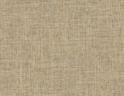 Rochelle 21 Hay swatch