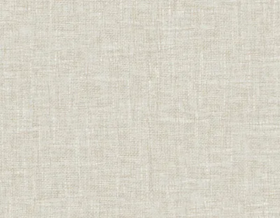 Rochelle 24 Vanilla swatch